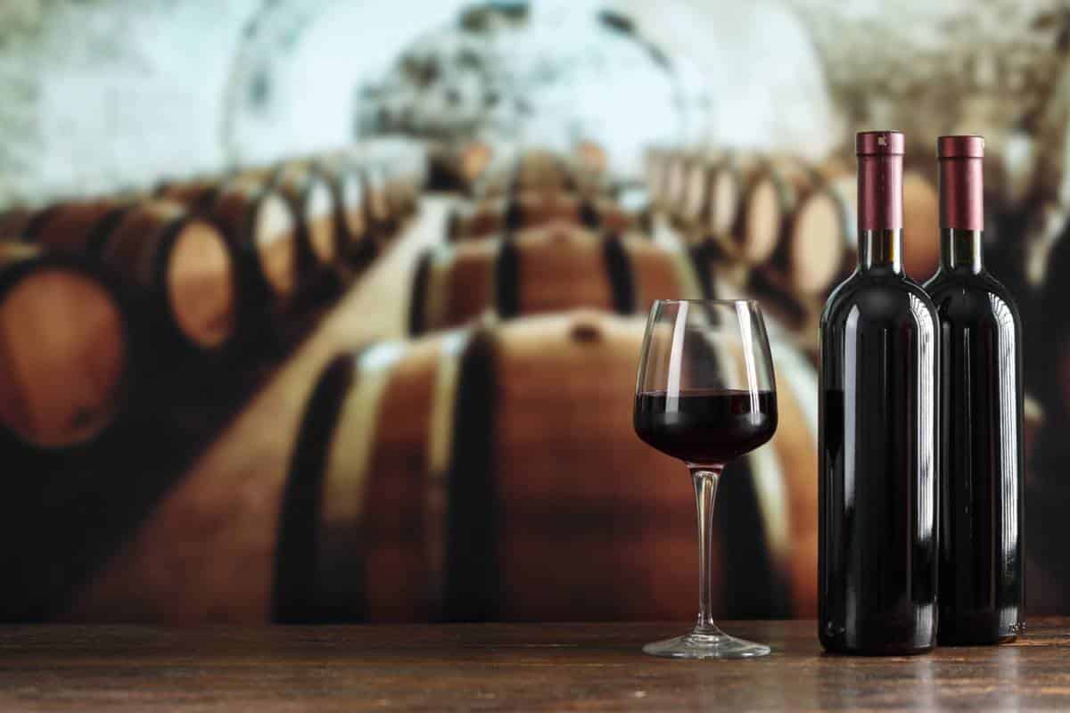 Initiez-vous à l’œnologie en visitant un domaine viticole