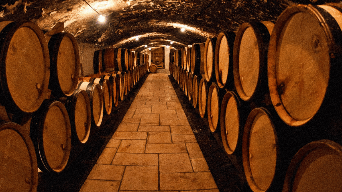 Mon assurance habitation couvre-t-elle les dommages causés à ma cave à vin ?