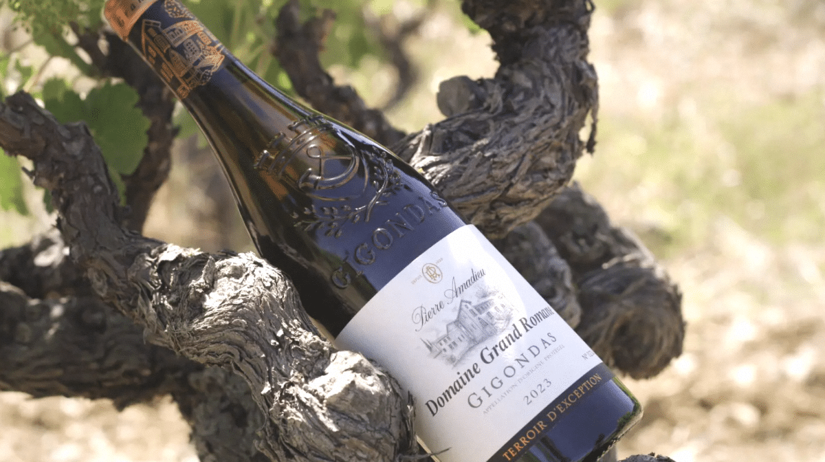 Les meilleures techniques de conservation des Gigondas pour une cave à vin